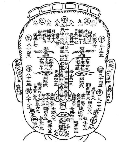 看面相算命的大师(看面相的大师俗称什么)