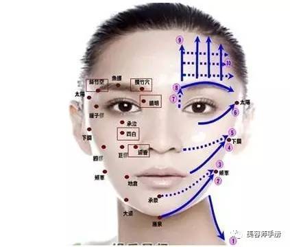 面部下巴反射区