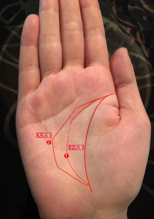 棺材纹手相图片