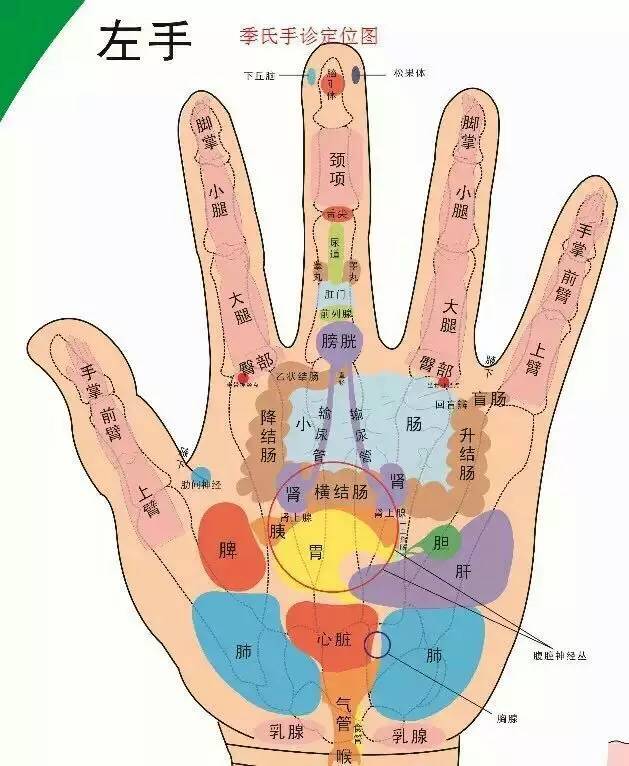 右手虎口有痣图解图片