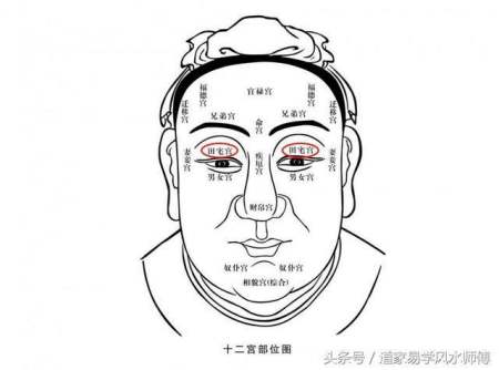 男人额头一字深纹命运图片