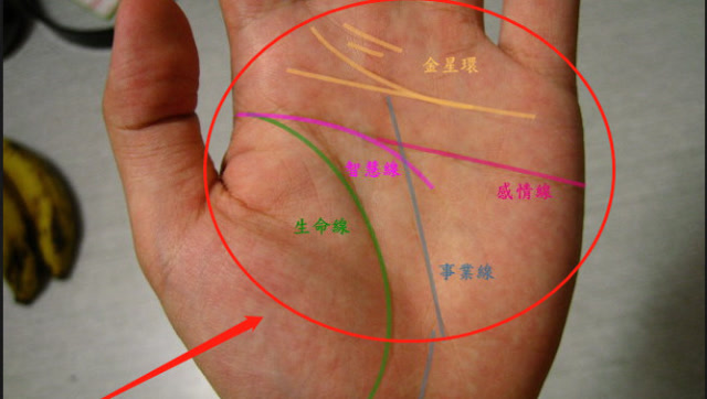 外來財的手紋(發外財的手相怎麼看)