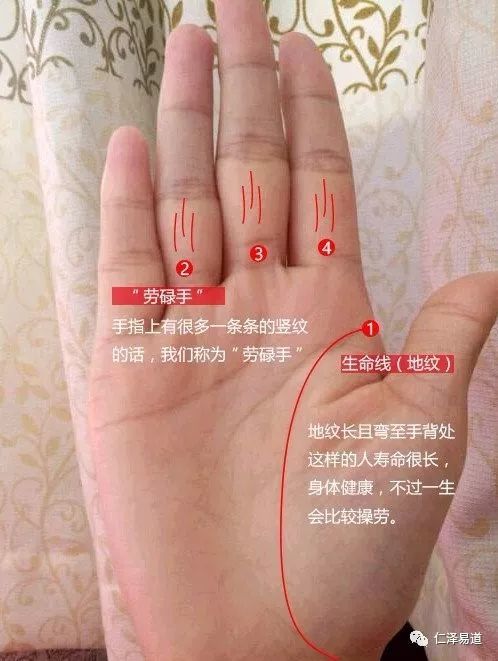 9种手纹的女人命好图片