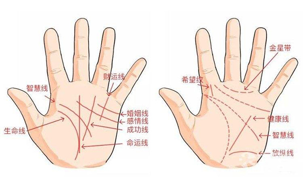 手掌紋三條線分開的(手掌三條線分開的掌紋)