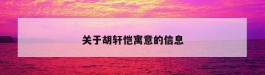 关于胡轩恺寓意的信息