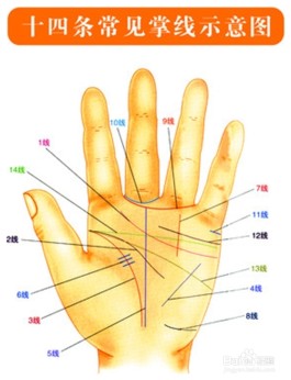 女性手掌纹路看健康(女性手掌纹路看健康图解大全)