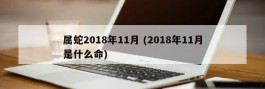 属蛇2018年11月 (2018年11月是什么命)