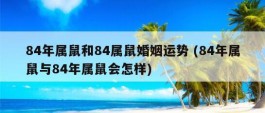 84年属鼠和84属鼠婚姻运势 (84年属鼠与84年属鼠会怎样)