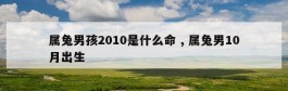 属兔男孩2010是什么命 , 属兔男10月出生