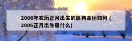 2006年农历正月出生的属狗命运如何 (2006正月出生属什么)