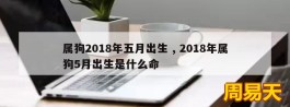 属狗2018年五月出生 , 2018年属狗5月出生是什么命