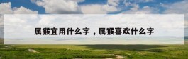 属猴宜用什么字 , 属猴喜欢什么字