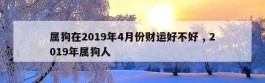 属狗在2019年4月份财运好不好 , 2019年属狗人