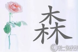 田世杰名字分析(田世宇名字的含义是什么)