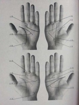 手掌健康纹(手掌健康纹会消失吗)