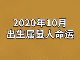 属鼠2014年10月运势(属鼠2014年运势及运程每月)