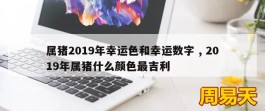 属猪2019年幸运色和幸运数字 , 2019年属猪什么颜色最吉利