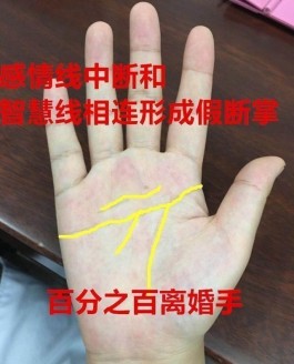 男士手纹感情线(男士手纹感情线图解)