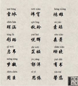 起名10笔和14笔字(姓名学14笔的字及其解释)