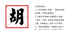 关于100分的胡姓名字大全的信息