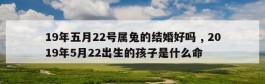 19年五月22号属兔的结婚好吗 , 2019年5月22出生的孩子是什么命