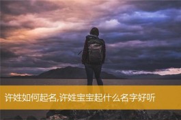 关于许姓名字100分的有哪些的信息