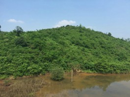 风水大师坟墓讲解视频(墓地风水大师中国最厉害风水大师教学视频)