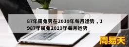 87年属兔男在2019年每月运势 , 1987年属兔2019年每月运势