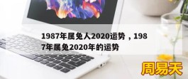 1987年属兔人2020运势 , 1987年属兔2020年的运势