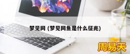 梦见网 (梦见网鱼是什么征兆)