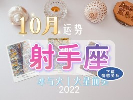 包含12月10日射手座运势2023年运势的词条