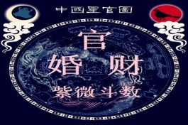 紫薇七杀父母(紫微星七杀星入子女宫)