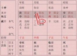 八字干支间的作用关系(八字干支间的作用关系是什么)