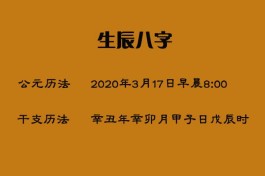 阳历1994年2月9日生日性格(阳历1994年2月9日属什么生肖)