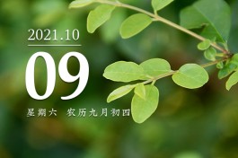 10月10是农历多少(10月10日农历是什么日子)