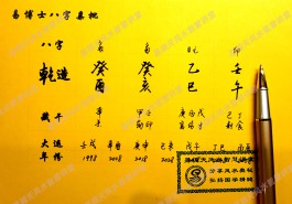 壬午日柱命理分析(壬午日柱命理师念鲜)