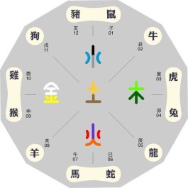 十二生肖五行性格分析(十二生肖五行属性对照表,古人的智慧,值得品读和借鉴!)