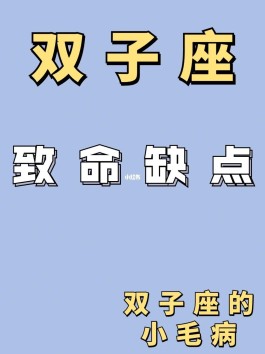 分析双子性格特点(双子的性格特征是什么啊)