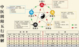 手掌五行图(手掌怎么看五行)