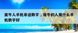 属牛人手机幸运数字 , 属牛的人用什么手机数字好