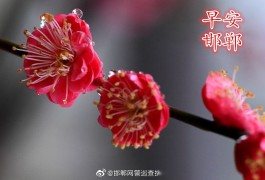 11月8日农历(11月8日农历十月十五日出什么生肖)