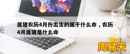 属猪农历4月份出生的属于什么命 , 农历4月属猪是什么命