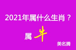 属牛2018年12月24号运势(2020年12月18日生肖牛运势)