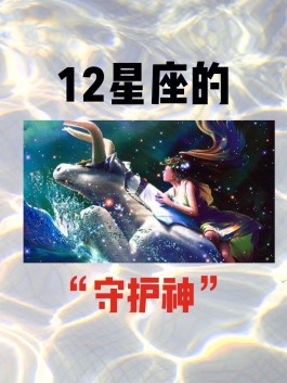 12月19日天枰座运势(天枰座12月份运势2019爱情)