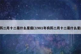 1966年3月20号农历多少(1966年3月20日阳历是多少)