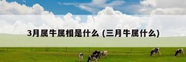 3月属牛属相是什么 (三月牛属什么)