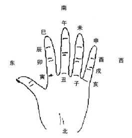 阴支阳支区别(阴干阴支和阳干阳支)