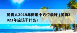 属狗人2019年做那个方位最好 (属狗2021年应该干什么)