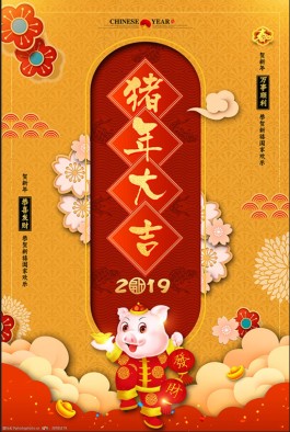 猪年2019结婚(2020年属猪结婚)