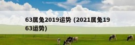 63属兔2019运势 (2021属兔1963运势)